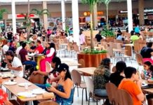 Setor de serviços na Paraíba expande 9% e atinge 2ª maior taxa do país, revela IBGE