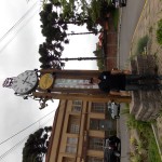 DSCN8423 – Copia