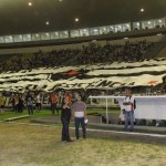 Botafogo 1×0 River-PI (188)