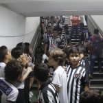 botafogo-1×0-palmeiras-104