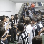 botafogo-1×0-palmeiras-106