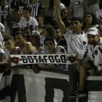 botafogo-1×0-palmeiras-12