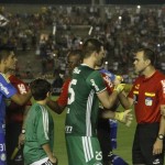 botafogo-1×0-palmeiras-127