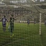 botafogo-1×0-palmeiras-160