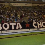 botafogo-1×0-palmeiras-23
