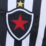 Botafogo1x0Salgueiro (27)