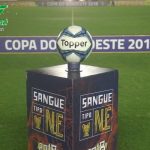 Botafogo2x1Nautico (15)