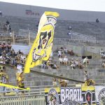 Botafogo 3×1 CSA (19)