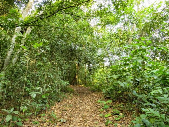 c99b2c89-3172-4308-a2c5-04dcb0107b23