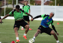 Amistoso entre Botafogo-PB e América-RN é cancelado; Belo confirma jogo-treino contra o Santa Cruz-RN
