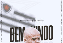 Ruy Bueno é o novo Coordenador Técnico do Belo