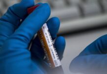 O Botafogo-PB solicita exames antidoping para final decisiva do Paraibano 2026