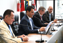 CCJ aprova parecer favorável ao Programa Municipal de Microflorestas Urbanas